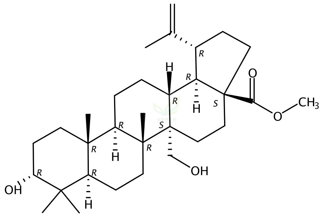 3,27-二羟基-20(29)-流明-28-酸甲酯