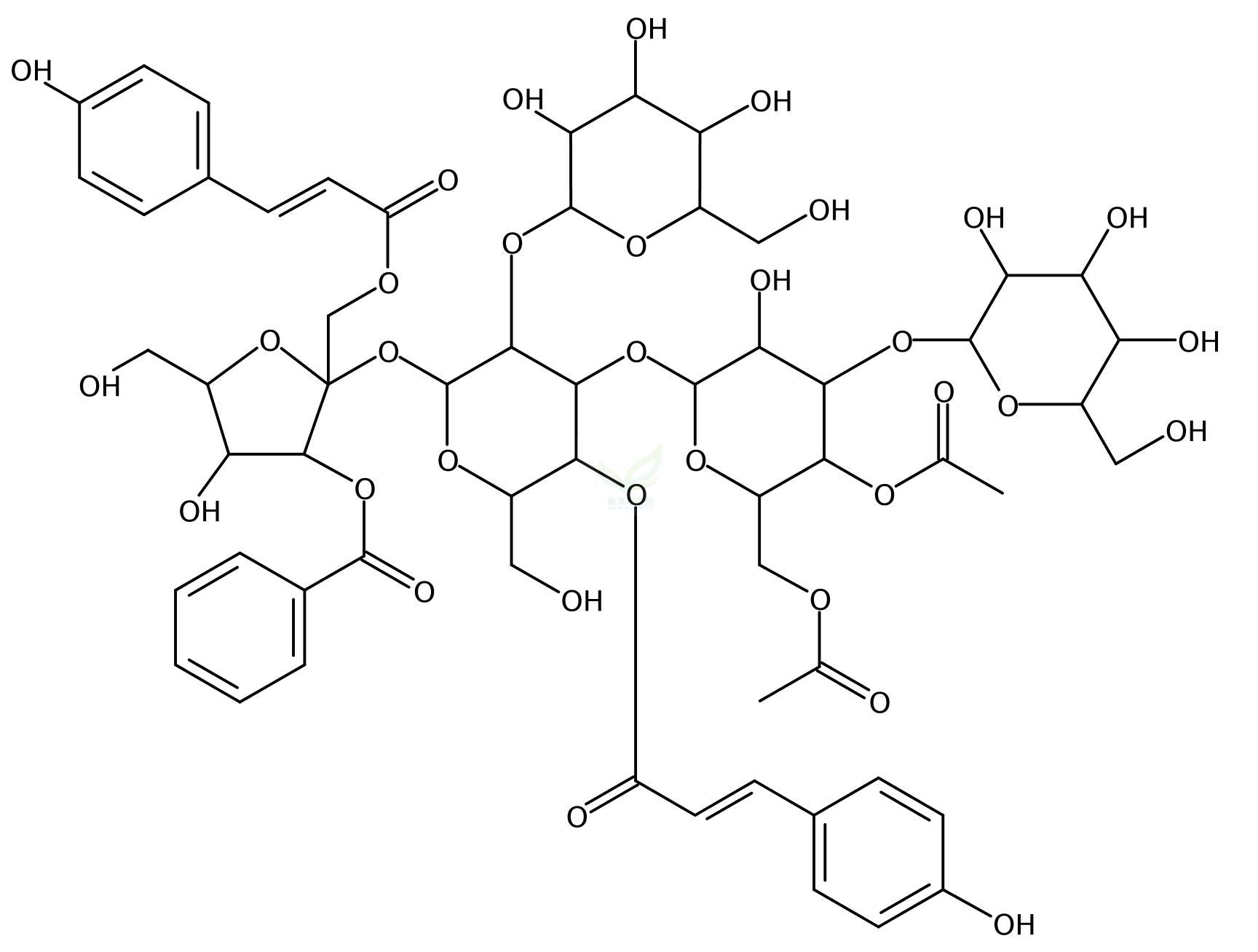 远志寡精J