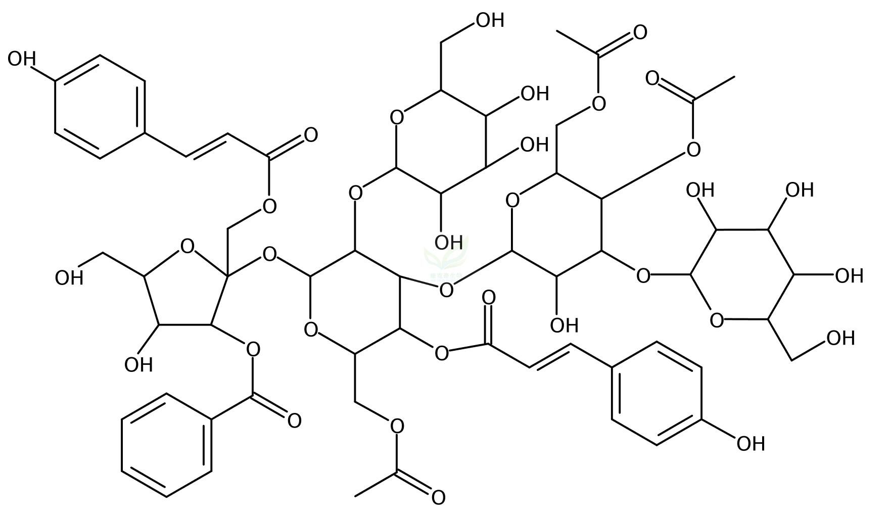 远志寡精H