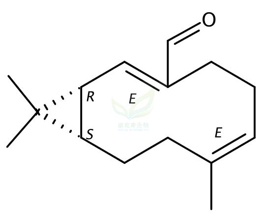 N/A