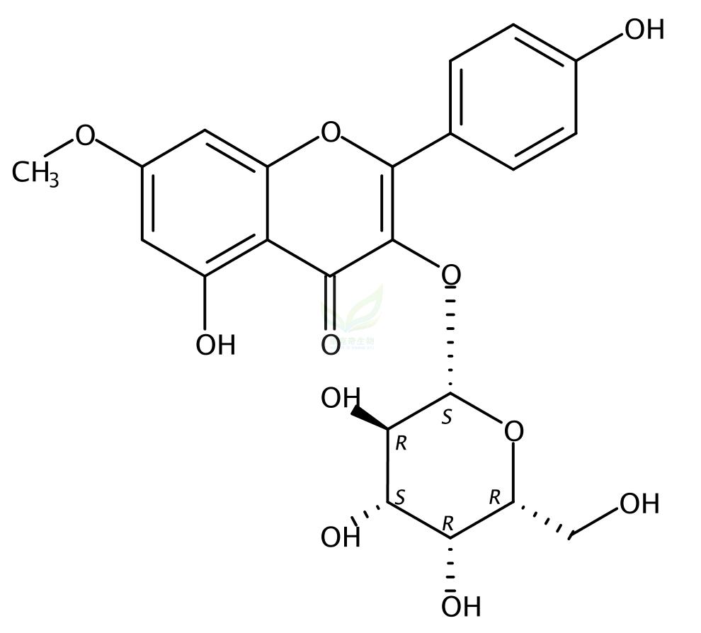 鼠李柠檬素 3-O-半乳糖苷