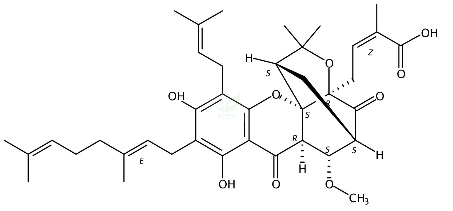 10-甲氧基新藤黄酸